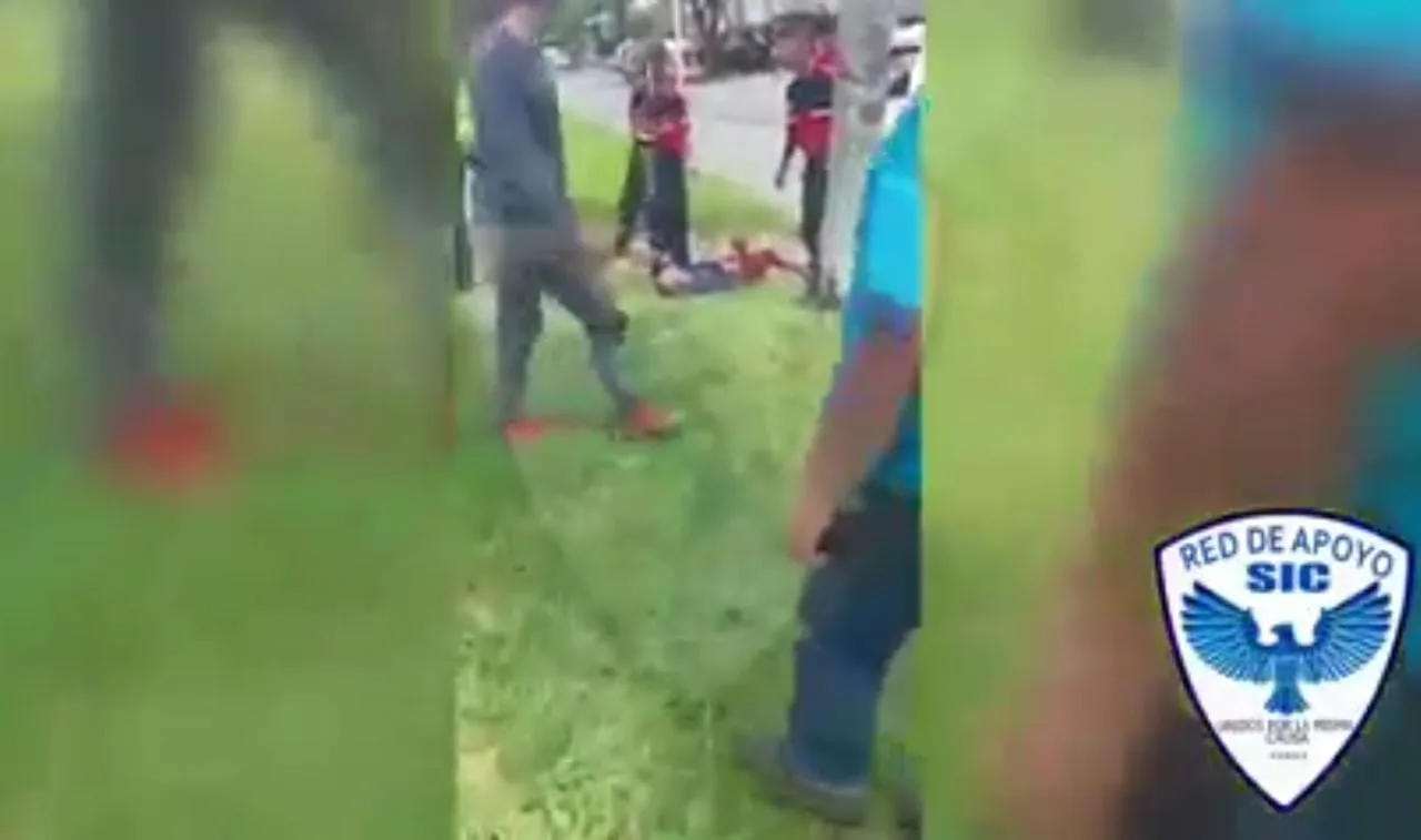 un ladrón de