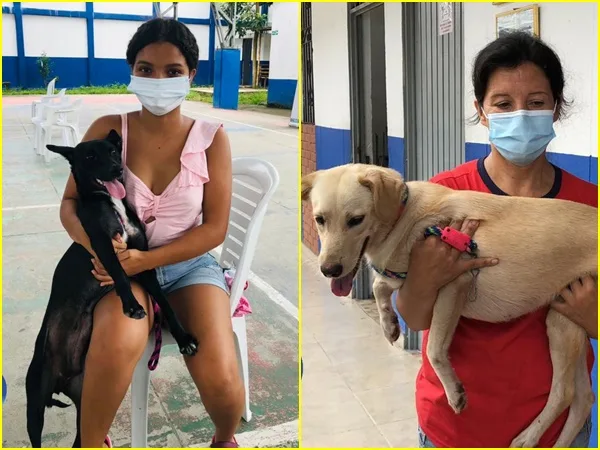 ¡Enhorabuena! En Tumaco esterilizaron a 900 animales para contrarrestar el abandono y maltrato