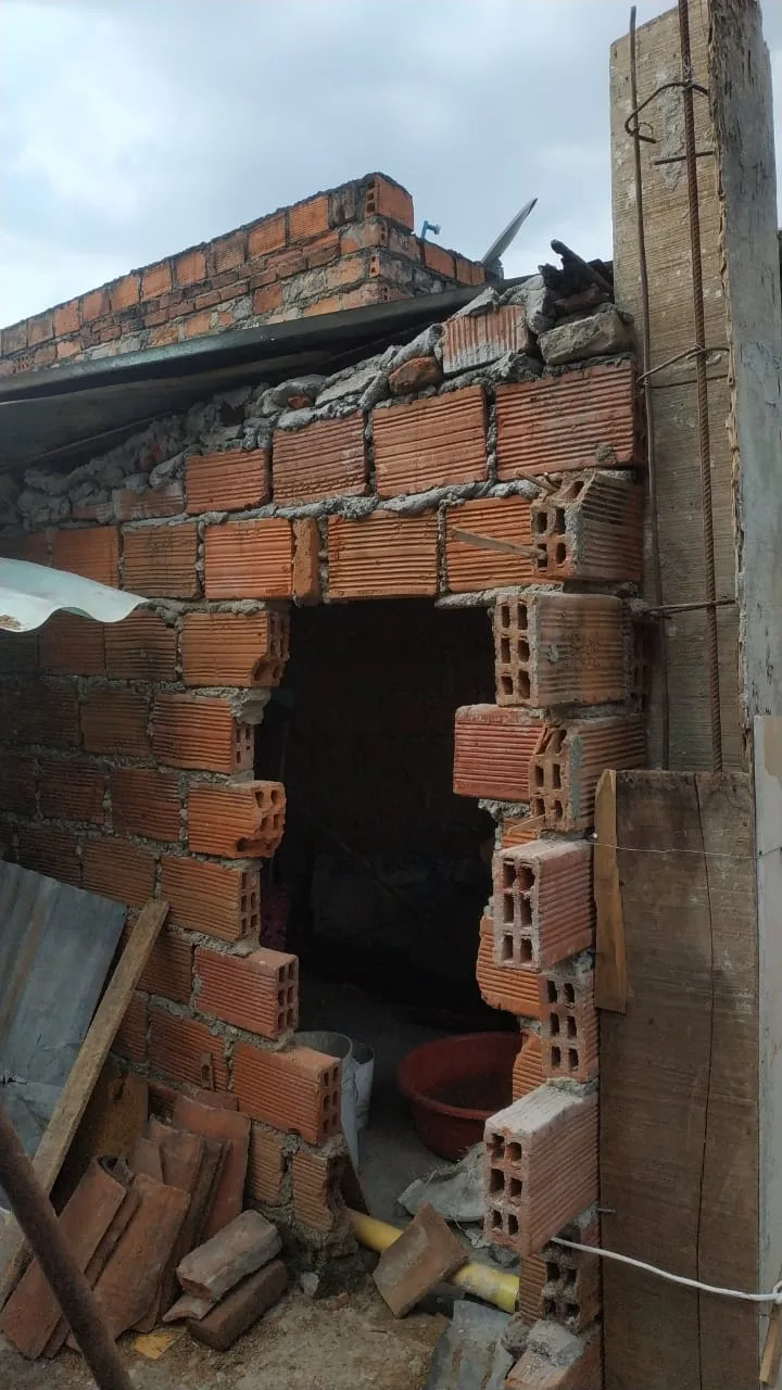 "Casa Gato" el hogar de paso de los gatos abandonados en Cali