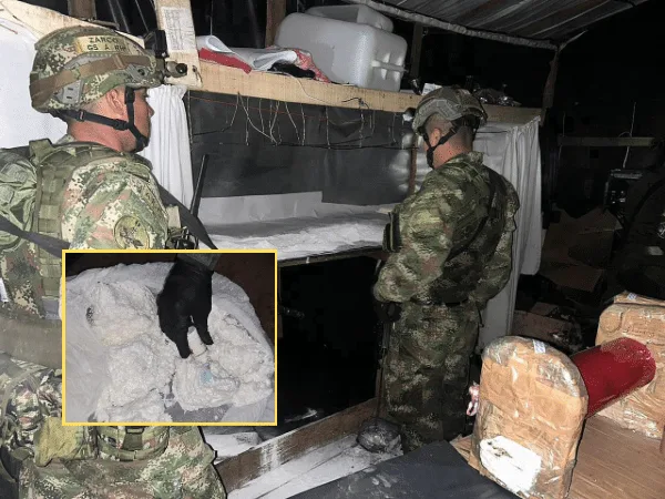 El avalúo en dólares supera los 4 millones, generando ganancias mensuales de más de 17 mil millones de pesos por el laboratorio de cocaína en Barbacoas, Nariño.
