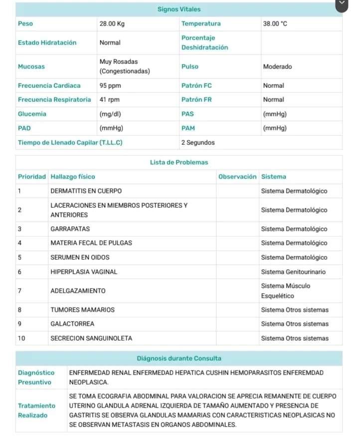 Debido a un "mal procedimiento de OVH", a Princesa le causo mastitis, ahora tiene tumores que crecen cada día