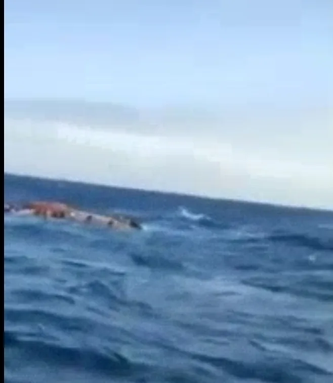 Santa Marta accidente Parque Tayrona náufragos 