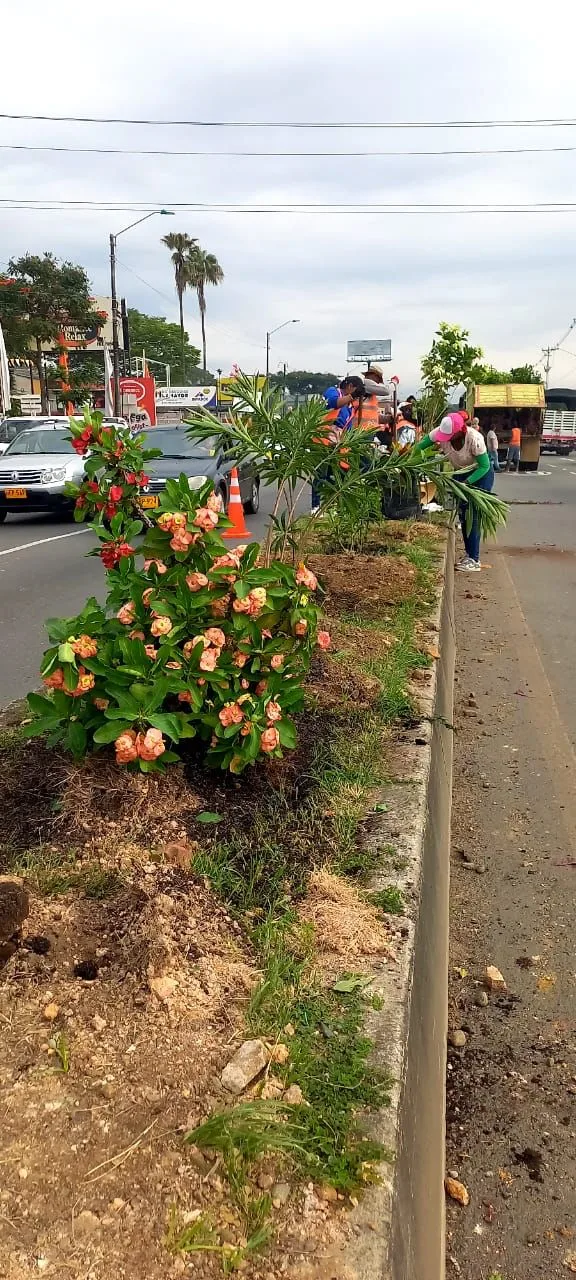 Ahora un jardín adorna el separador de la vía Cali - Jamundí, más 300 voluntarios ayudaron a sembrarlo
