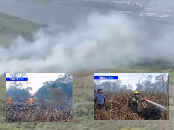 En menos de dos meses otro incendio forestal afecta la Isla Salamanca en el norte de Barraquilla