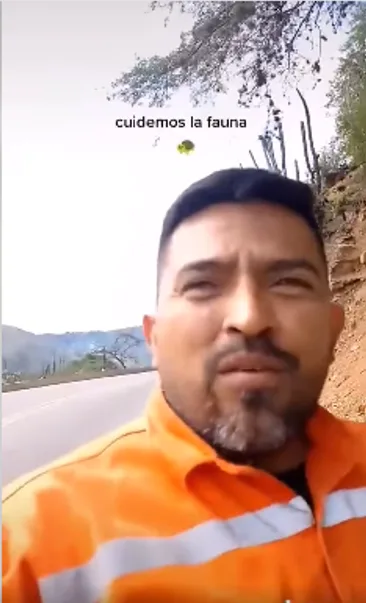de una tortuga