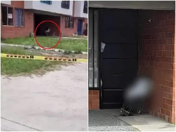 Cuerpo de una mujer hallado en un carrito de mercado en Palmira, Alcaldía ofrece recompensa