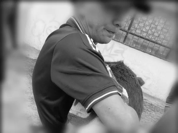 Rechazo en Pasto: denuncian que pandillas atacaron con un puñal a un perro