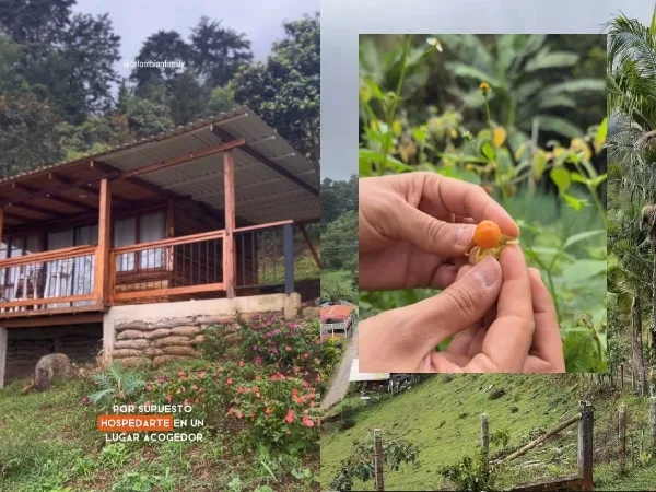 Reserva natural y bosque comestible ; un lugar mágico cerca a los farallones de Cali