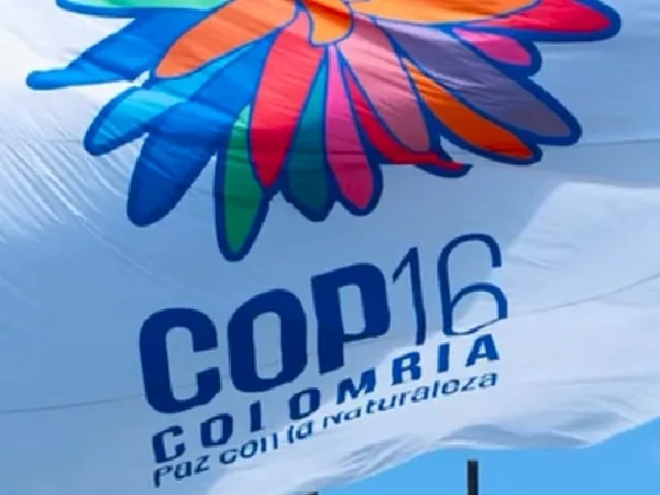 COP16, evento medioambiental que se desarrolla en Cali.