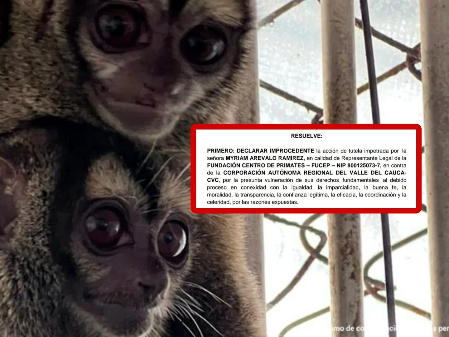 Monos Valle