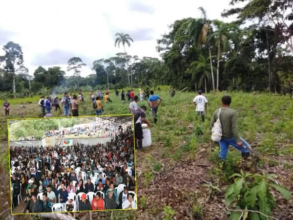 Unos 5000 cultivadores de coca Nariño Cauca y Valle exigieron a Petro la titulación de sus tierras