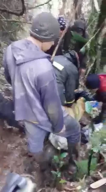 en Los Farallones de Cali