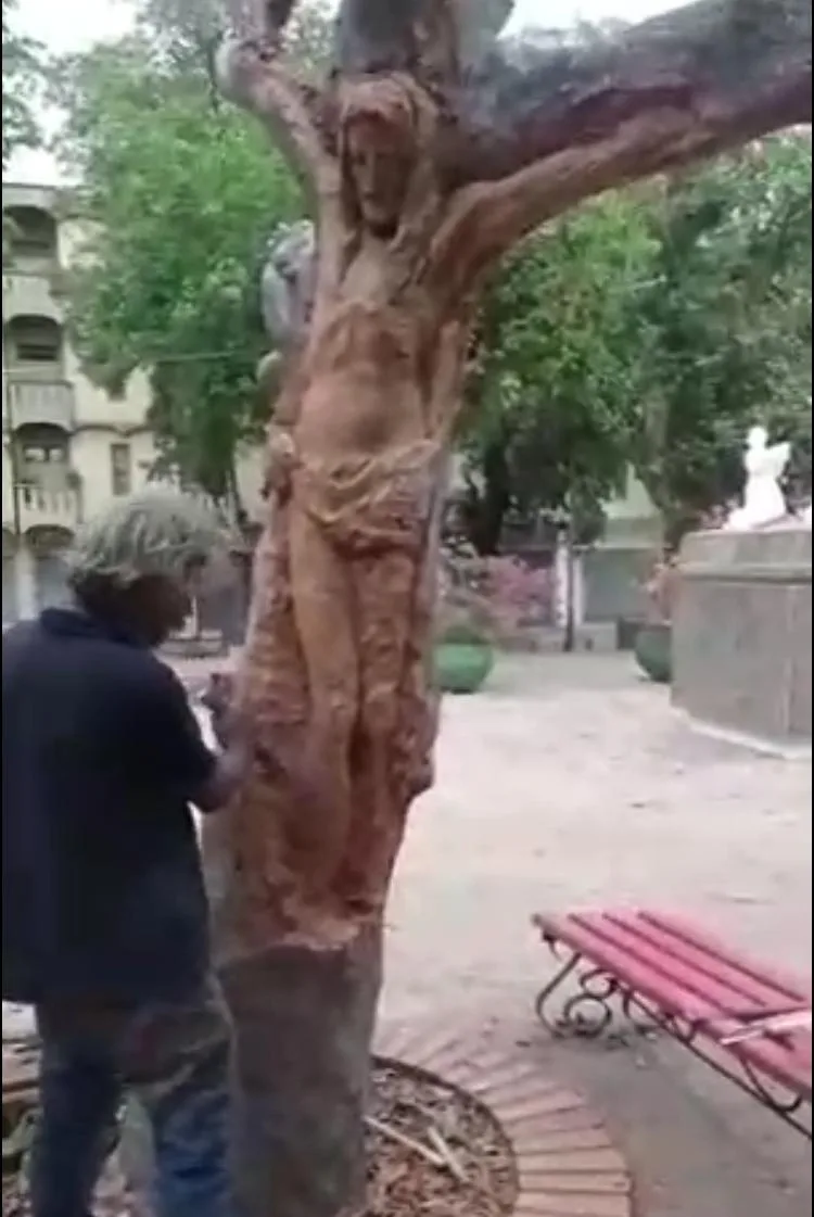 Valledupar Cristo en un árbol