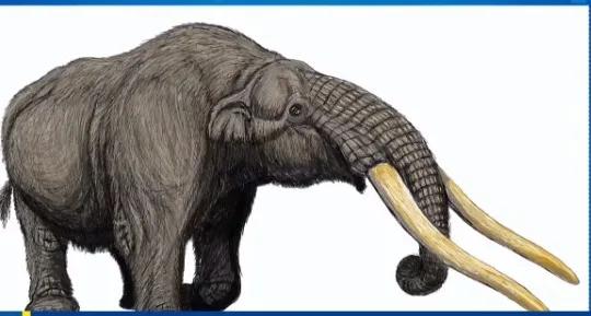 un mastodonte