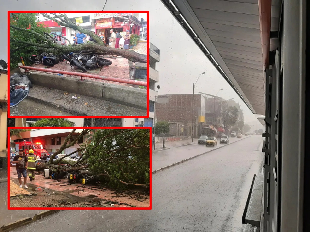 "Corto pero violento", el aguacero este jueves en Cali volvió a generar miedo, hasta un árbol cayó sobre varias motos