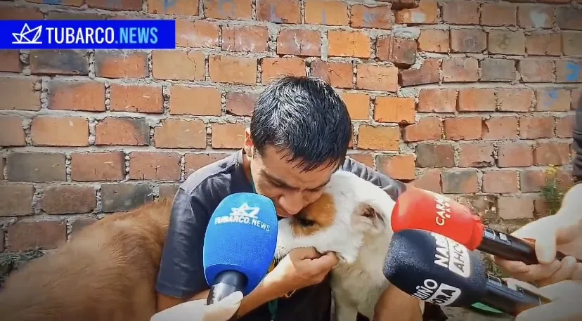 “Que nos pongamos la mano en el corazón para ellos” Pedro, cuida a 11 perros en Pasto