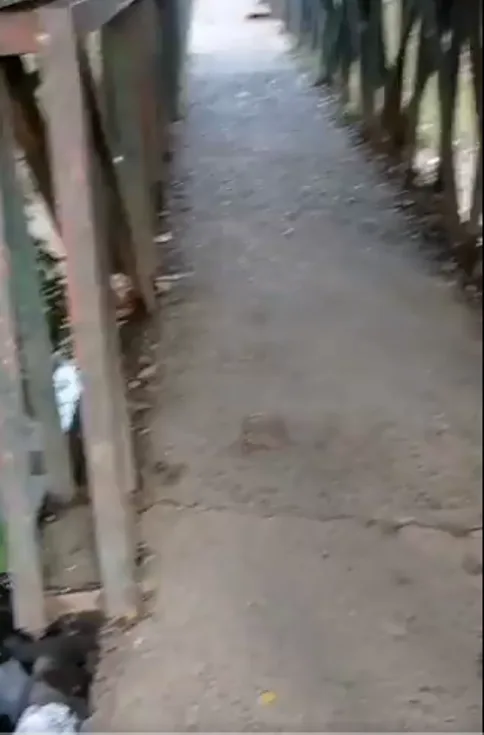 en Los Mangos