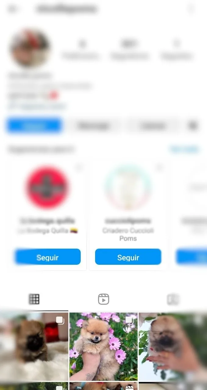 de un perro