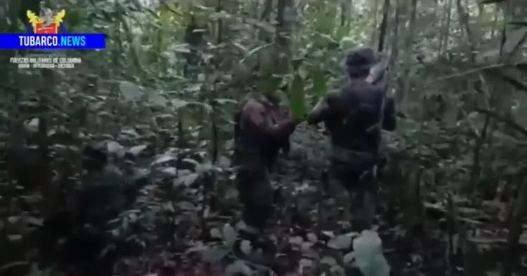 Niños del Guaviare, así fue su búsqueda.