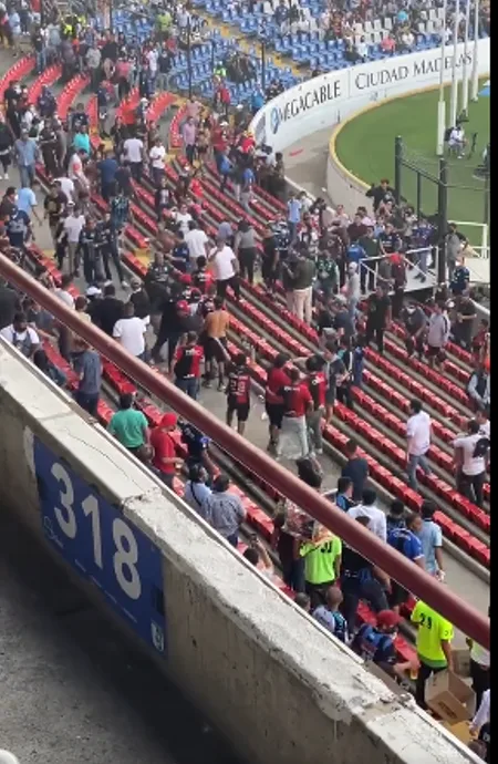 de hinchas