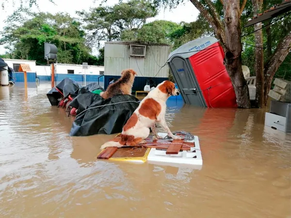 Lluvias en Arauca