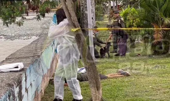 perro Tuluá