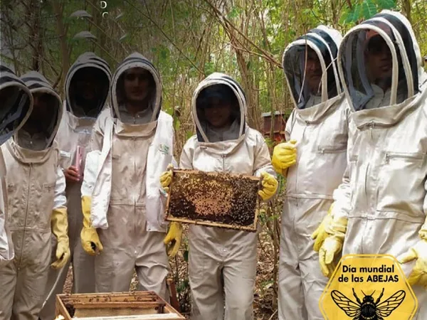 Día mundial de las abejas: en Colombia hay más de 500 especies esenciales para la polinización de plantas