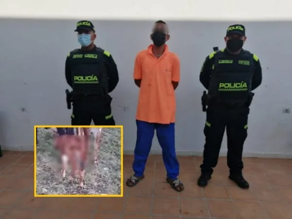 En Bolívar capturaron a un hombre que 'pillaron' teniendo relaciones sexuales con una ternera