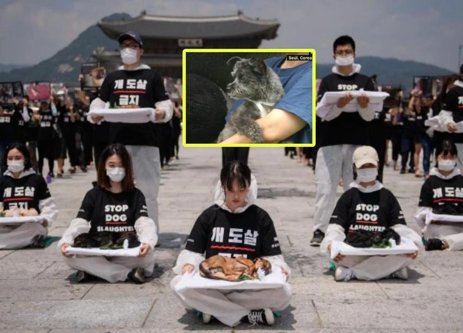 Corea del Sur