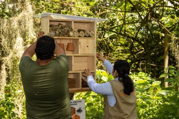 Refugios para abejas en el Valle del Cauca