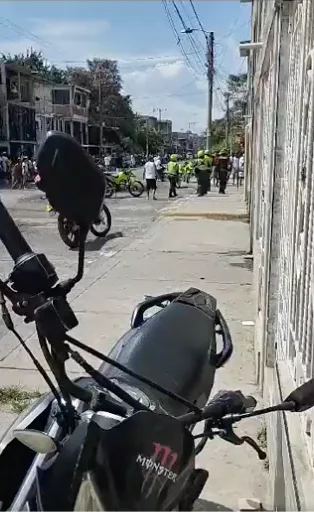 en los naranjos