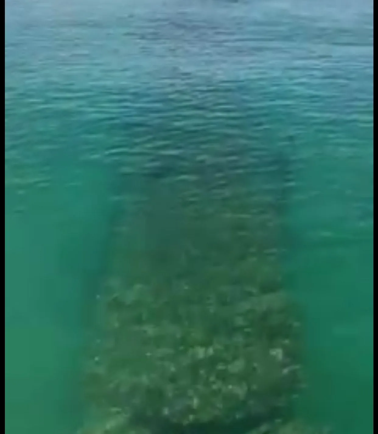Puerto Colombia agua muelle