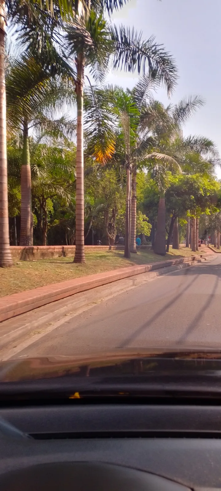 Parque Lineal Río Cali