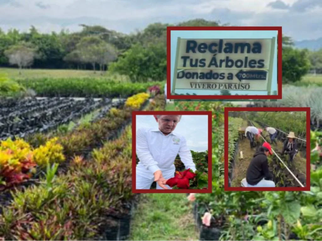 Vivero Paraíso regala plantas "pero el compromiso es que las cuiden", la historia del jardín más grande de Colombia