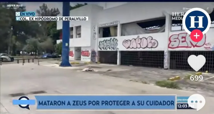 perro asesinado a disparos en México