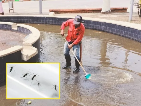 Presunto caso de dengue en Bucaramanga cobra la vida de un adolescente