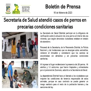 Buenaventura 30 perritos