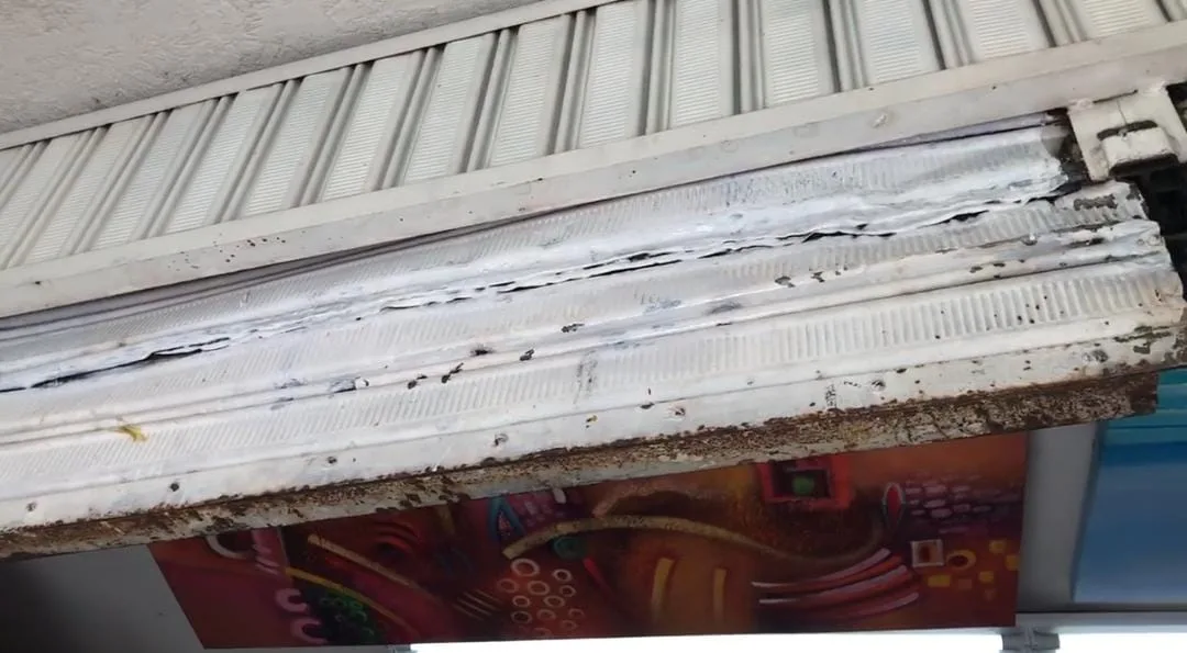 Ni los comerciantes se salvan: en Alameda ladrones intentaron robar tres locales, uno de ellos se quedó sin "caja fuerte"