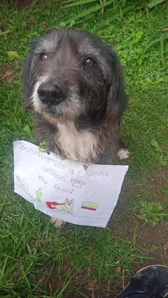 “Seguimos buscando a Wilson”, hay grupos de Fuerzas Militares en la selva del Guaviare