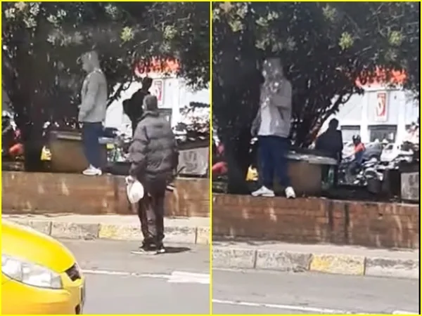Denuncian que sujetos sacan a los perros de las casas que les construyeron en Pasto, para refugiarse ellos mismos