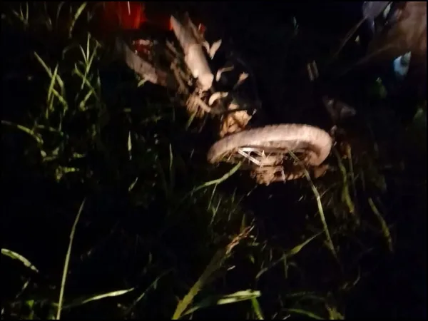 Una nueva víctima mortal dejó accidente en la recta Cali - Palmira