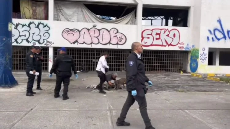 ¡Justicia para Zeus!, defendió a su humano de un asalto y el ladrón volvió para dispararle