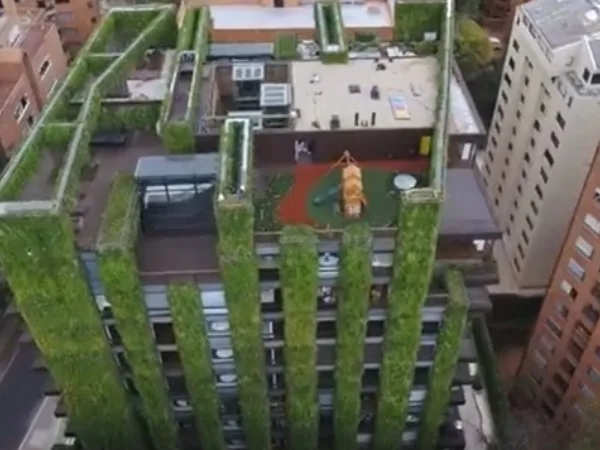Bogotá alberga el jardín vertical más grande del planeta: una maravilla ecoamigable