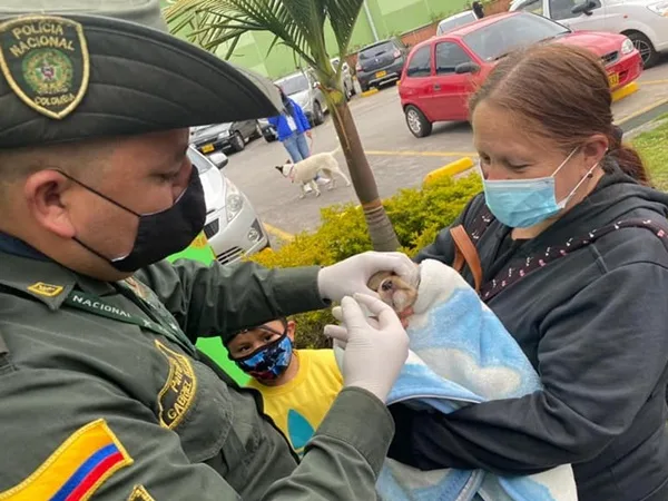 Con jornada de adopción buscan hogar para caninos abandonados en Pasto