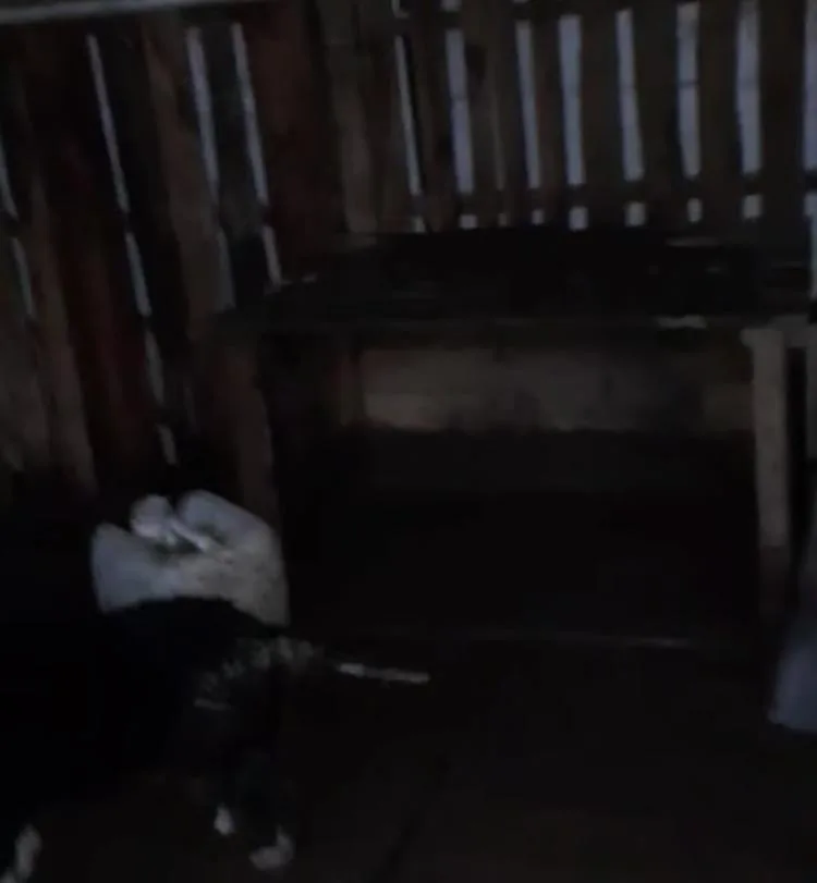 albergue Tulua