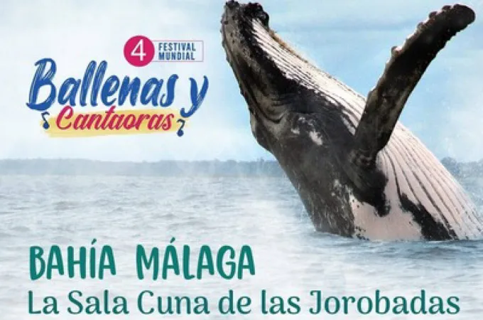 Festival Mundial Ballenas
