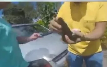 de tránsito