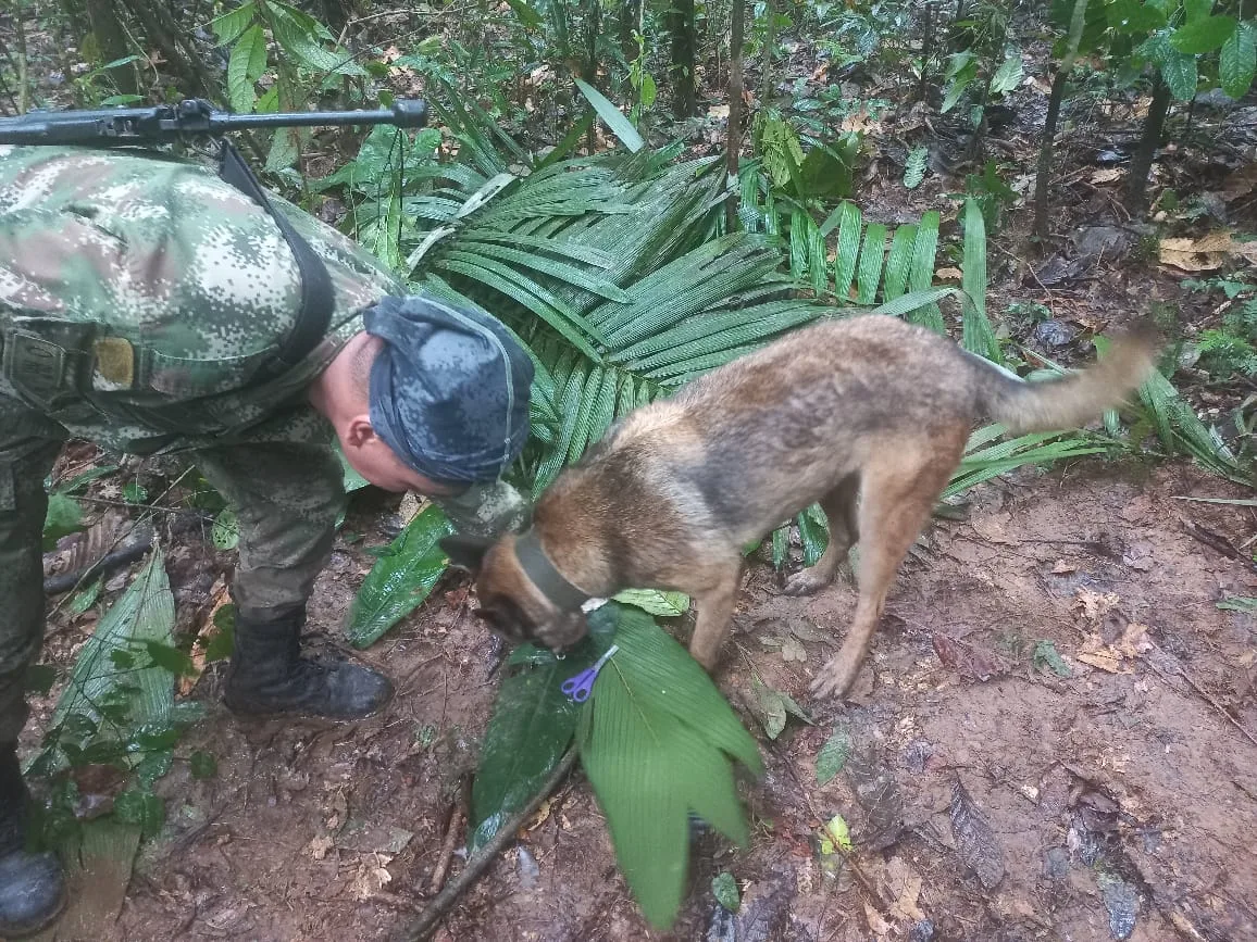 Colombia a la expectativa por los niños de la selva del Guaviare, la comunicación satelital se cayó