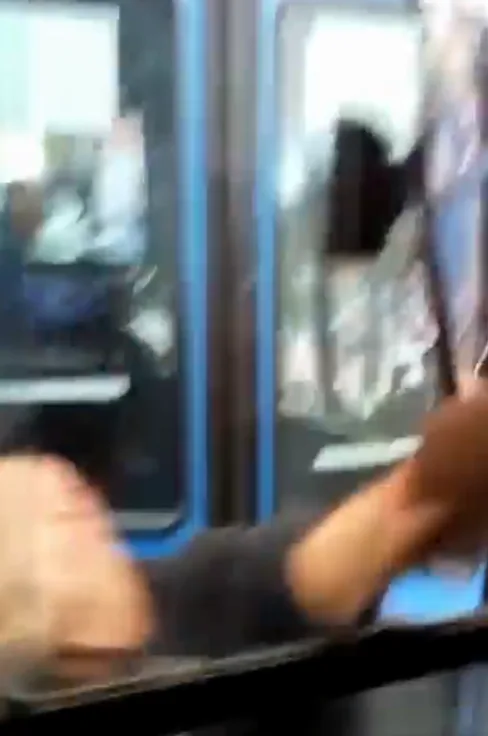 del mio