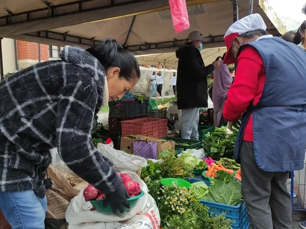 Campesinos de Nariño venderán más de 1.000 toneladas de alimento al Gobierno que serán donadas a 10.000 familias